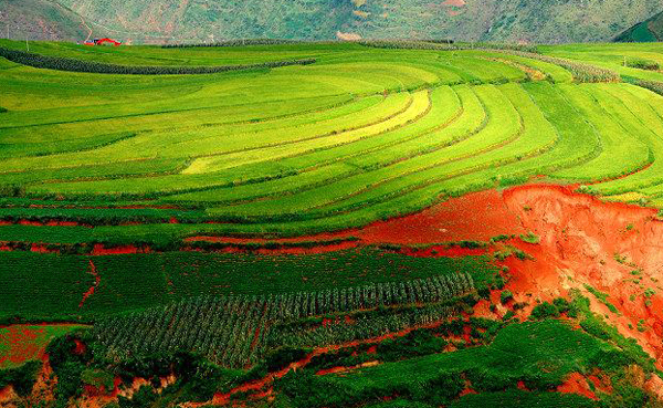 21 - Dealurile multicolore din Yunnan un loc unic pe Terra