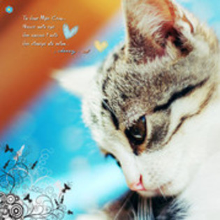 29958981_SKYBWLQXK