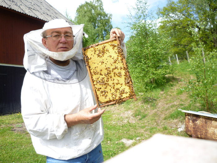 P1010410 - Albine si pentru albine