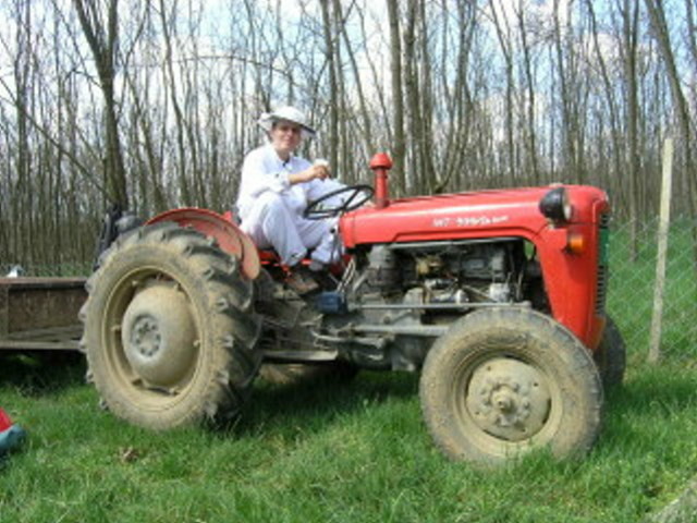 P3300773 - Carnica Banatica