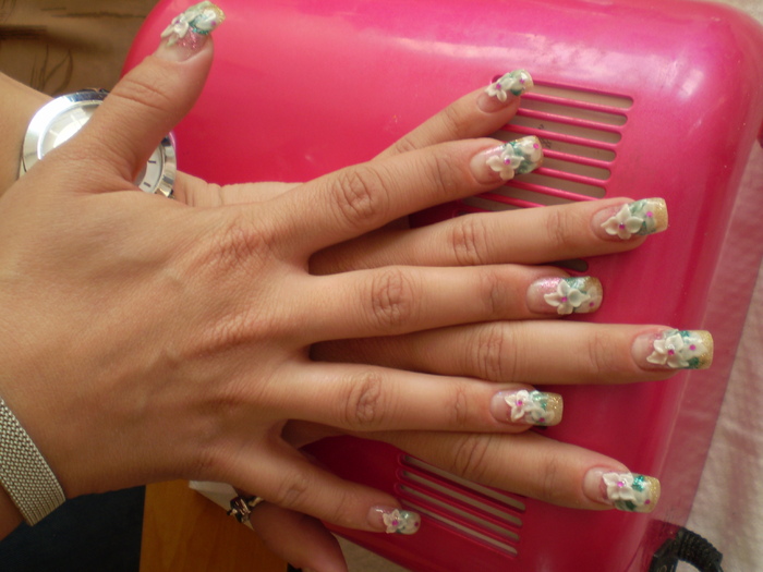 PA120126 - Unghii false facute de mine