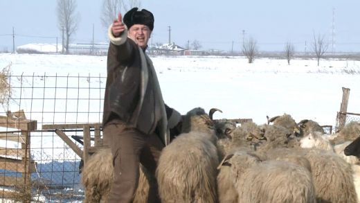 dragos-stoica-a-mancat-aproape-1-kg-de-branza-la-filmarea-clipului-src-ldquo-oaia-mea-rdquo-foto_5