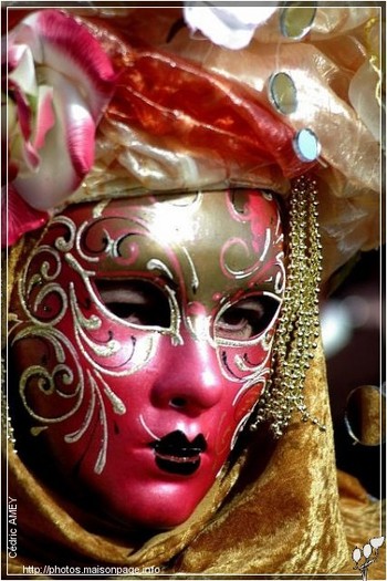 cliches__Europe_Italie_carnaval_de_Venise_2005_02814-Carnaval-de-Venise-_-masque-rose-dore
