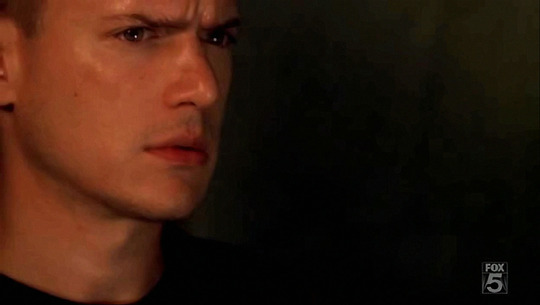 73871877_356476_8974775