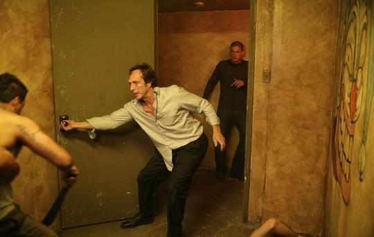 73871877_2890689_8967586 - prison break