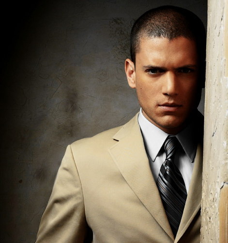 73871877_4190331_8943666