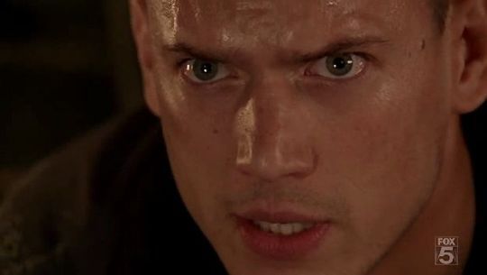 73871877_7930867_8989501