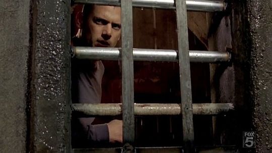 73871877_8471533_8989485