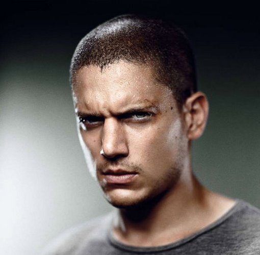 73871877_15955162_8972624