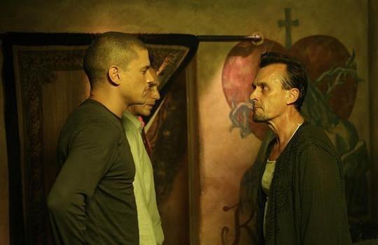 73871877_16403889_8967584