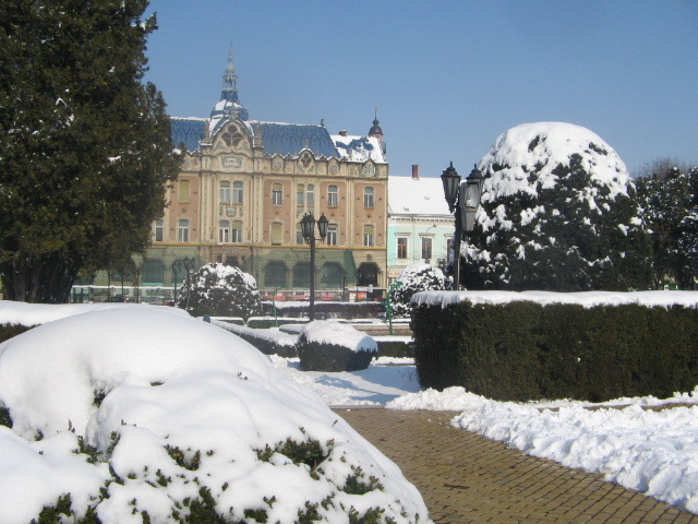 IMG_3802 - Orașul meu Satu Mare