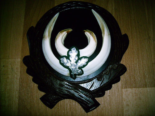 Colti noi de 20 de cm, fara defecte _75 de euro