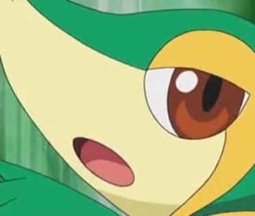 tsutaja fata lvl 15 stie;lujerul bici,pumnul mach,secret power,frunza ucigasa,sinteza si sweet kiss - Pokemoni lui serinapokemon