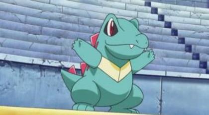 Totodile ♂ lvl 89 stie toate miscarile tip apa si normale - Pokemoni lui MewSHINY2