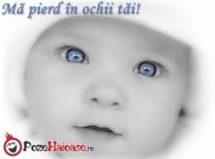 images (9)