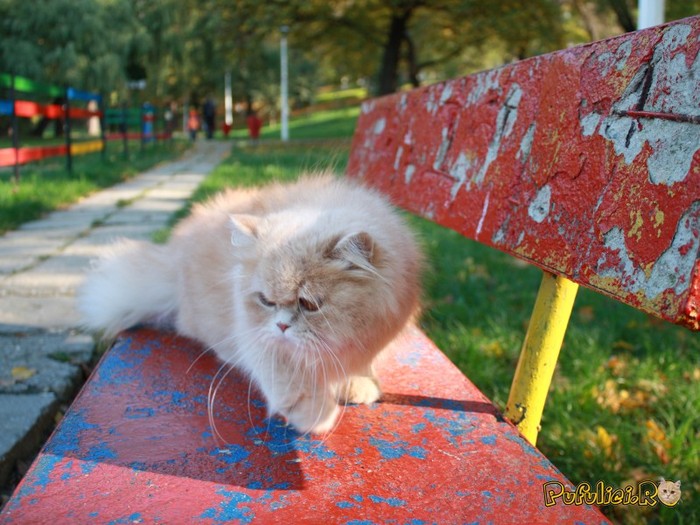 10-26-08-16-44-24280