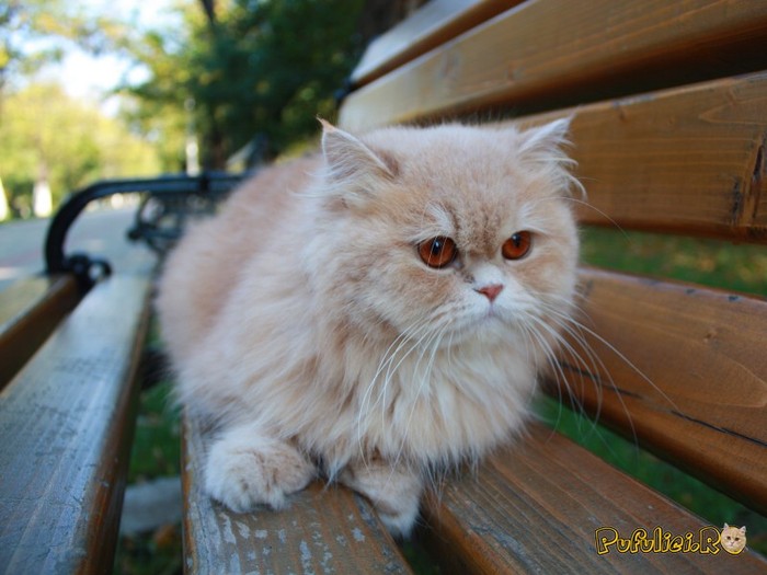 10-26-08-16-47-04849