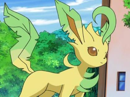 Leafeon fata lvl 123 stie toate miscarile normale si de iarba