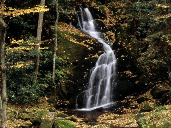 Mouse Creek Falls, Great Smoky Mountains, North .jpg_595 - pozeee