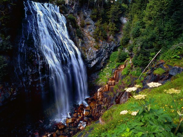 Narada Falls, Mount Rainier National Forest, Was.jpg_595