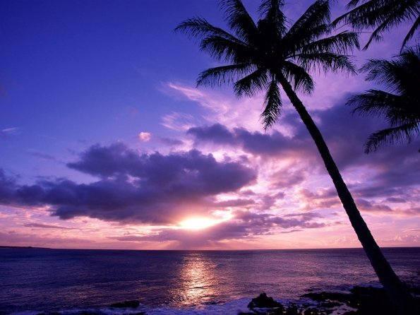 Tahitian Paradise - 1600x1200 - ID 10989.jpg_595