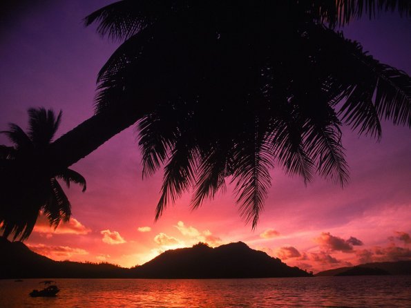 Tropical Beach at Sunset, The Seychelles - 1600x.jpg_595 - pozeee
