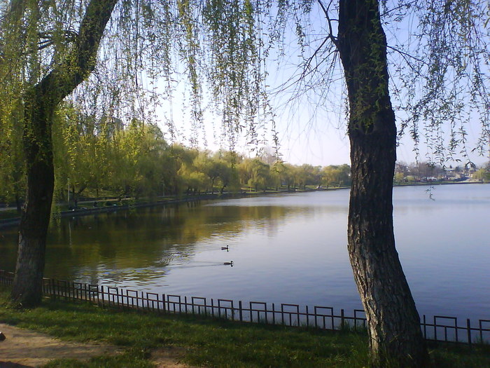 dsc03540 - poze de primavara