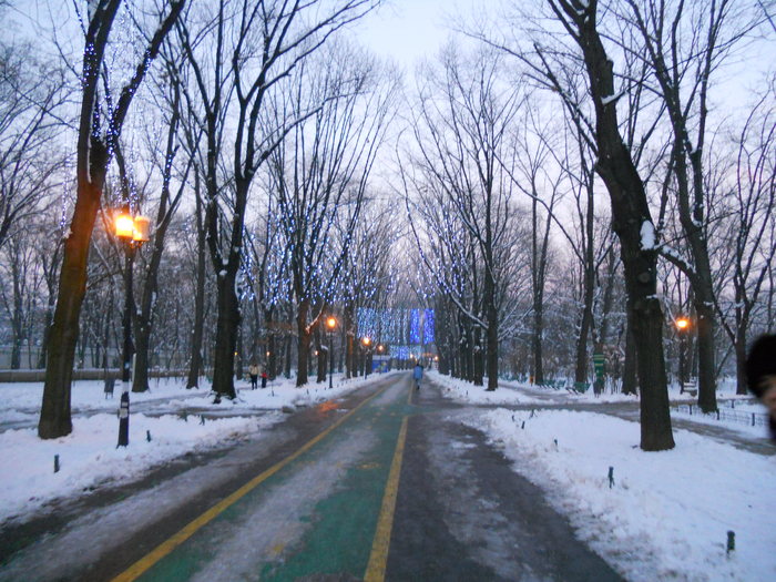 Parcul Herastrau - Winter 2010-2011