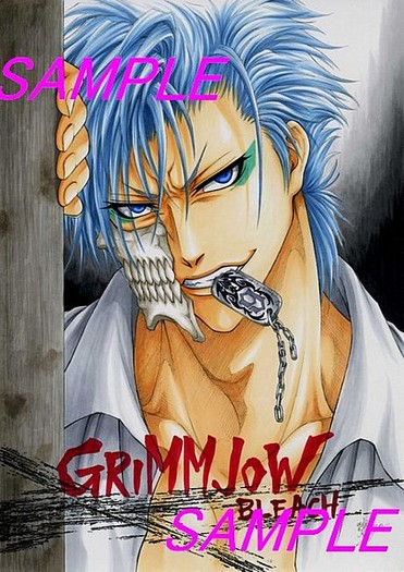 211868 - Grimmjow Jeagerjaques