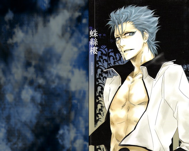 zerochan.Grimmjow.Jeagerjaques.62078