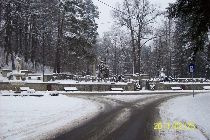 101_7882 - SINAIA in iarna anului 2011