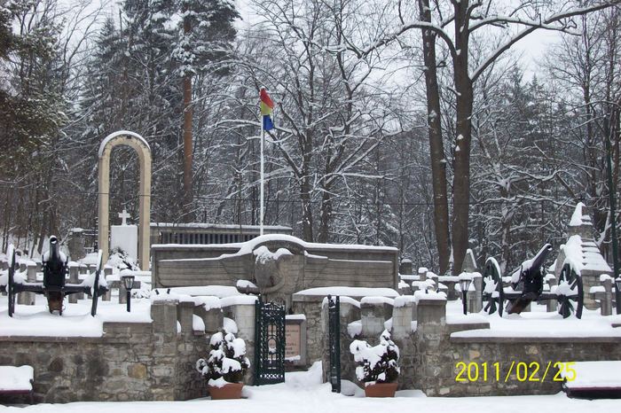 101_7883 - SINAIA in iarna anului 2011