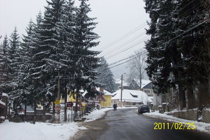 101_7887 - SINAIA in iarna anului 2011