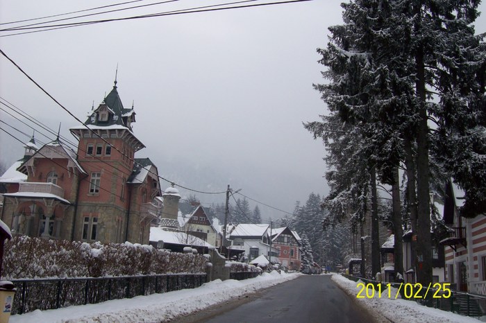 101_7930 - SINAIA in iarna anului 2011