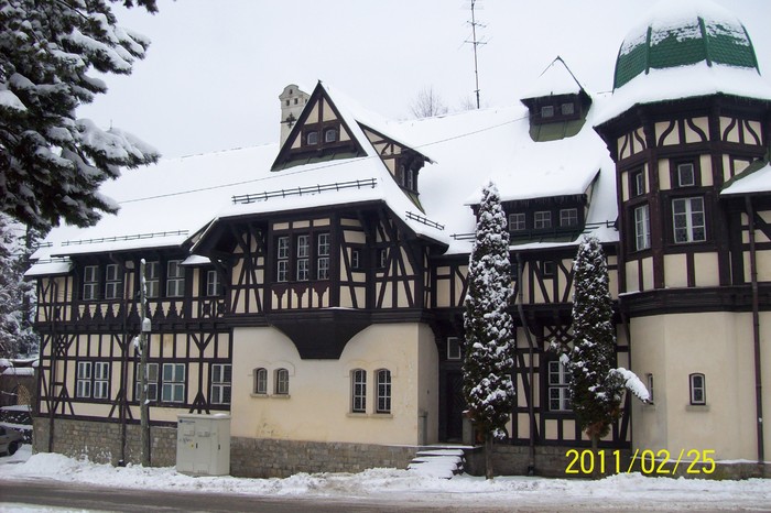 101_7931 - SINAIA in iarna anului 2011