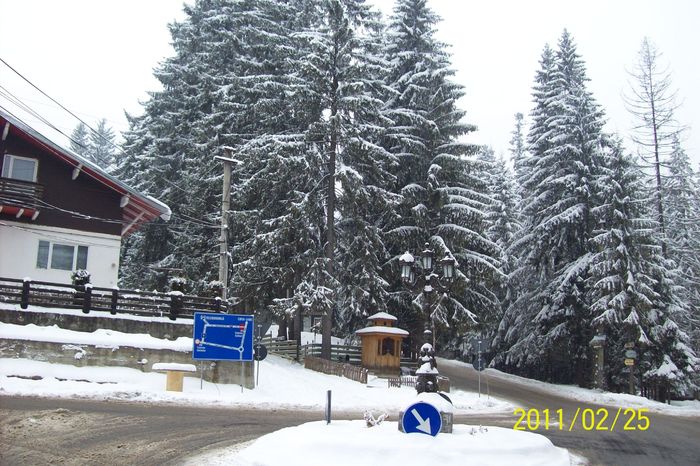 101_7933 - SINAIA in iarna anului 2011