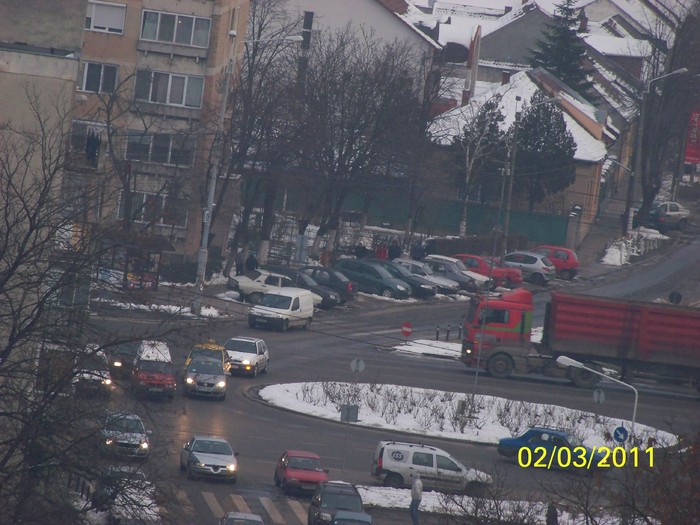 100_9544 - Iarna 2010  2011