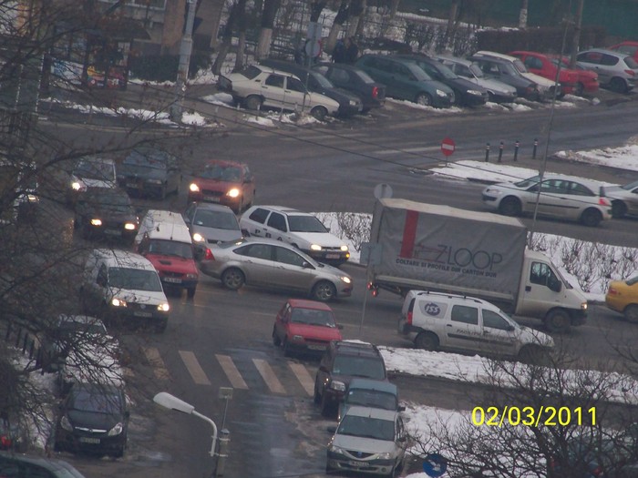 100_9545 - Iarna 2010  2011