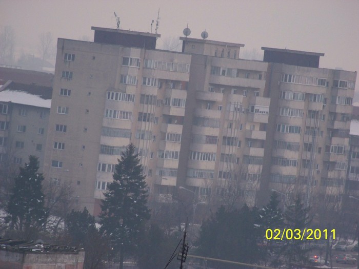 100_9546 - Iarna 2010  2011