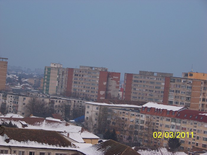 100_9548 - Iarna 2010  2011