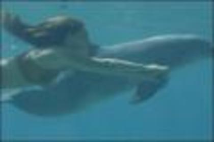H2O_Just_Add_Water_1221998295_2006 - h20
