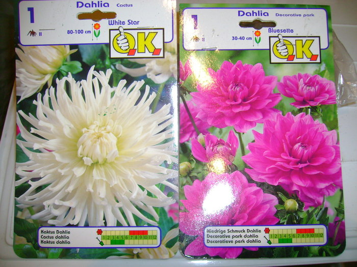 dalie alba si roz - ultimele achizitii