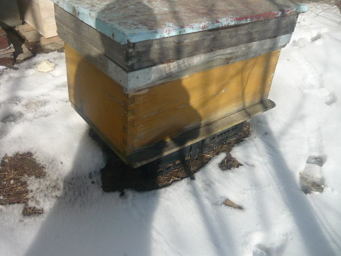 casa veche - apicultura