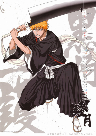 ichigo[2] - Ichigo Kurosaki