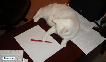 Adoptata de andreutzaaa