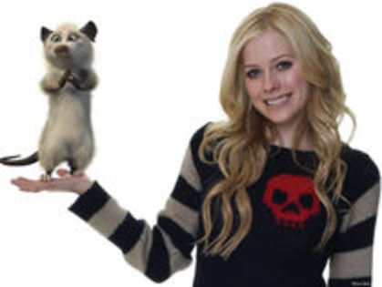 29574557_ZLSWZWQXI - avrill lavigne