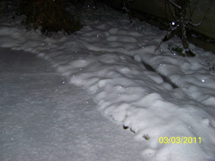 100_9683 - Iarna 2010  2011