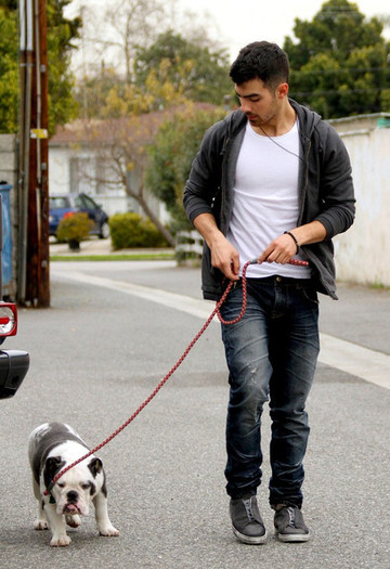 Joe+Jonas+Joe+Jonas+Takes+Dog+Vet+5Jr3-YOE6vcl - Joe Jonas Takes His Dog to the Vet