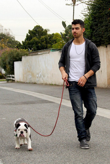 Joe+Jonas+Joe+Jonas+Takes+Dog+Vet+mnbSgFuD_GOl - Joe Jonas Takes His Dog to the Vet