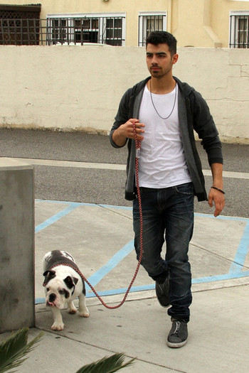 Joe+Jonas+Joe+Jonas+Takes+Dog+Vet+PGXq7v7CSqil - Joe Jonas Takes His Dog to the Vet